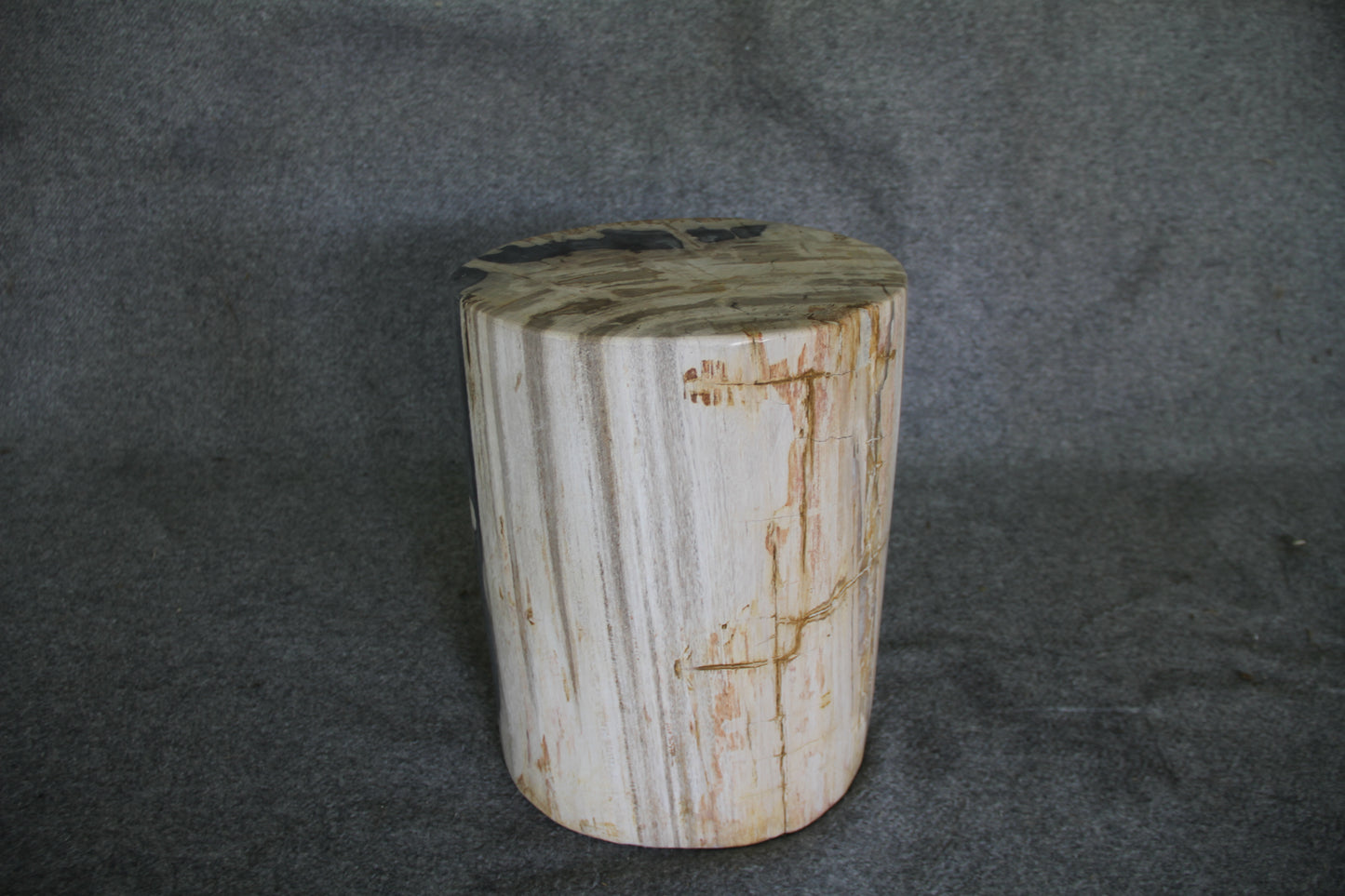 Petrified Wood Log Stool 16in (h) x 13in x 11in - DV.1.175 | Petrified Wood Stools | Modishstore-4