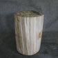 Petrified Wood Log Stool 16in (h) x 13in x 11in - DV.1.175 | Petrified Wood Stools | Modishstore-3