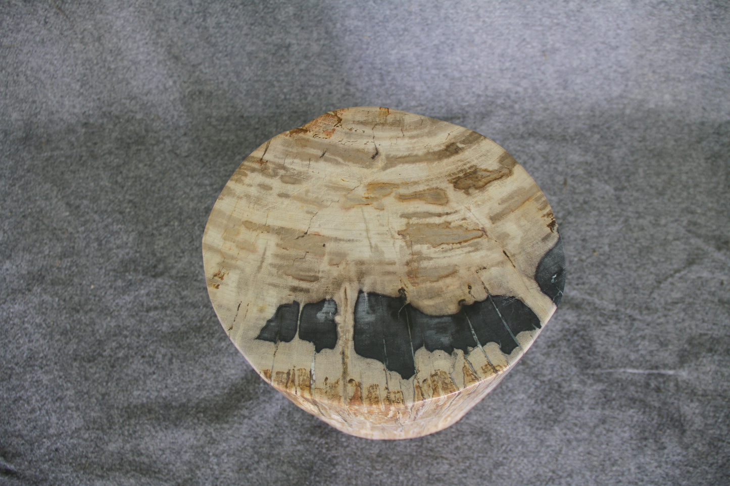 Petrified Wood Log Stool 16in (h) x 13in x 11in - DV.1.175 | Petrified Wood Stools | Modishstore-5