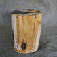 Petrified Wood Log Stool 16in x 11in x 10in - DV.1.195 | Petrified Wood Stools | Modishstore-3