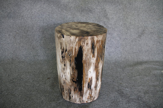 Petrified Wood Log Stool 16in x 11in x 10in - DV.161 | Petrified Wood Stools | Modishstore