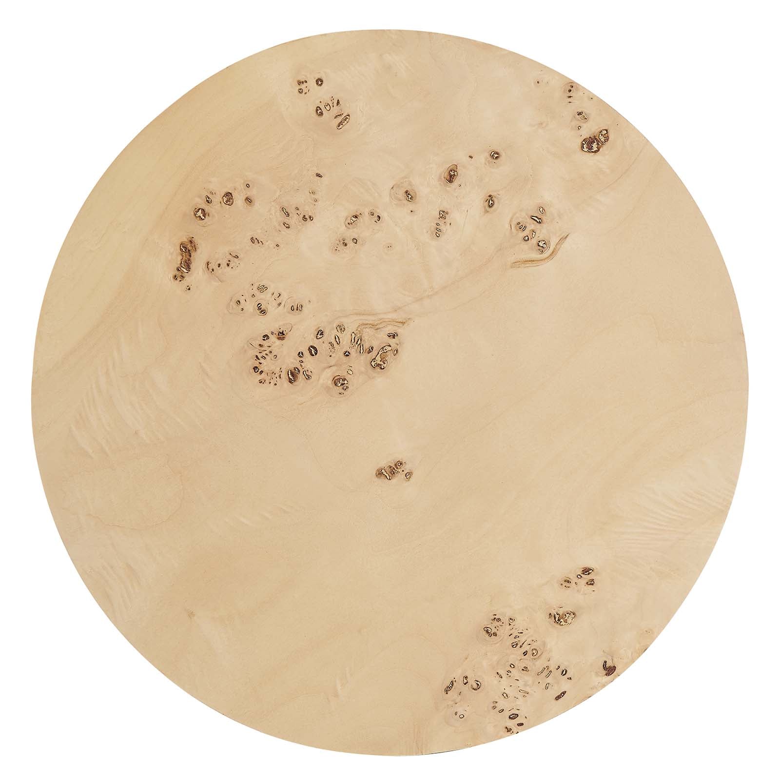 Cosmos 16" Round Burl Wood Side Table By Modway - EEI-6271 | Side Tables | Modishstore - 12