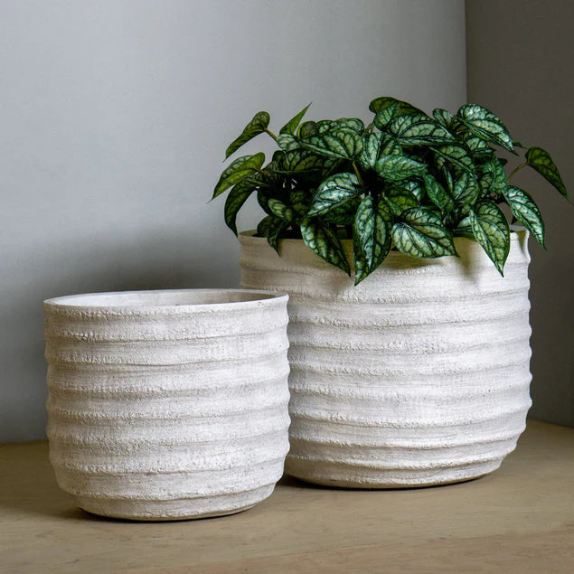 white textured plant pot Dolma Short Ant White, Set Of 2 Planter By Gold Leaf Design Group