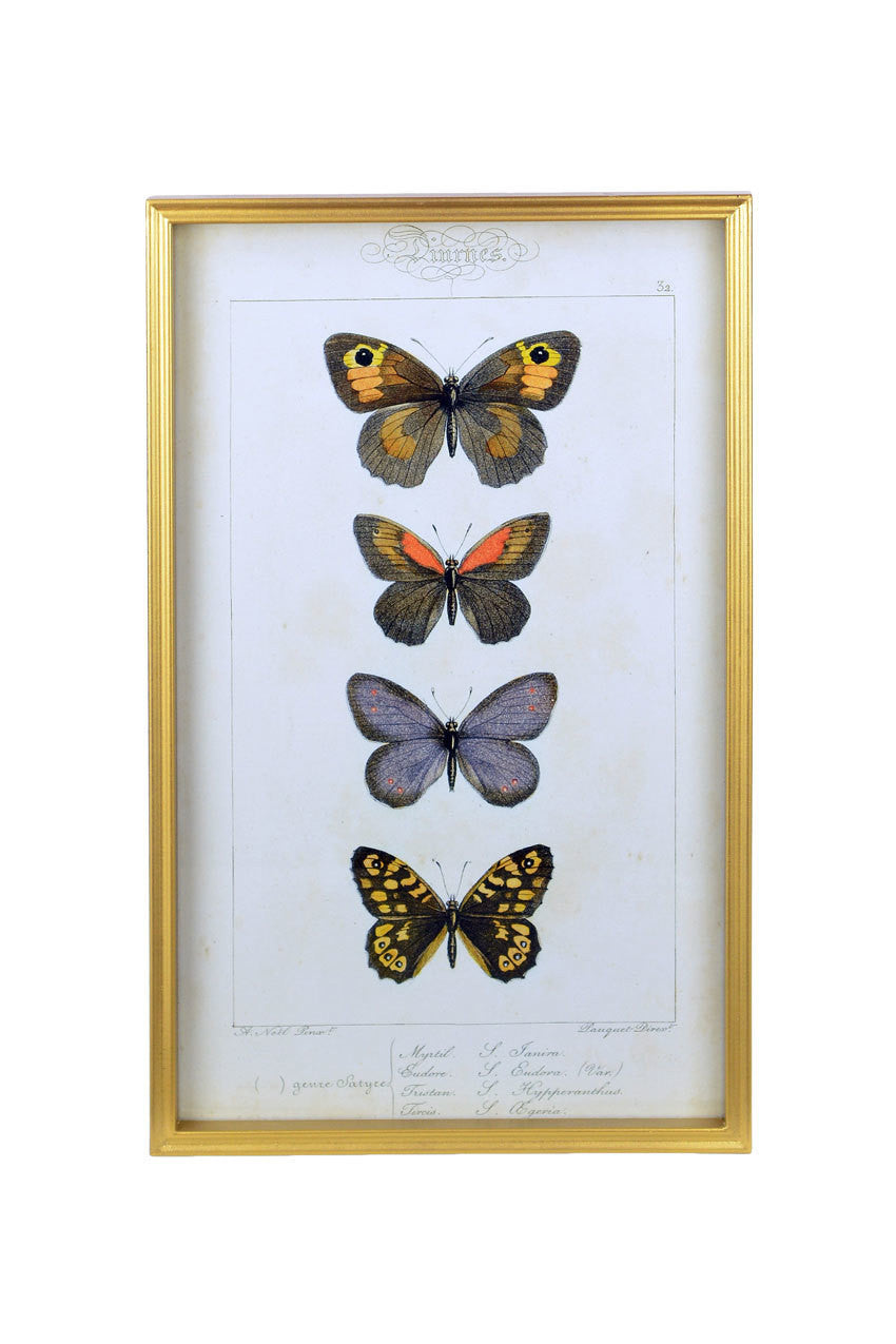 Vagabond Vintage Vintage Butterfly Print - B | Modishstore | Wall Art-2