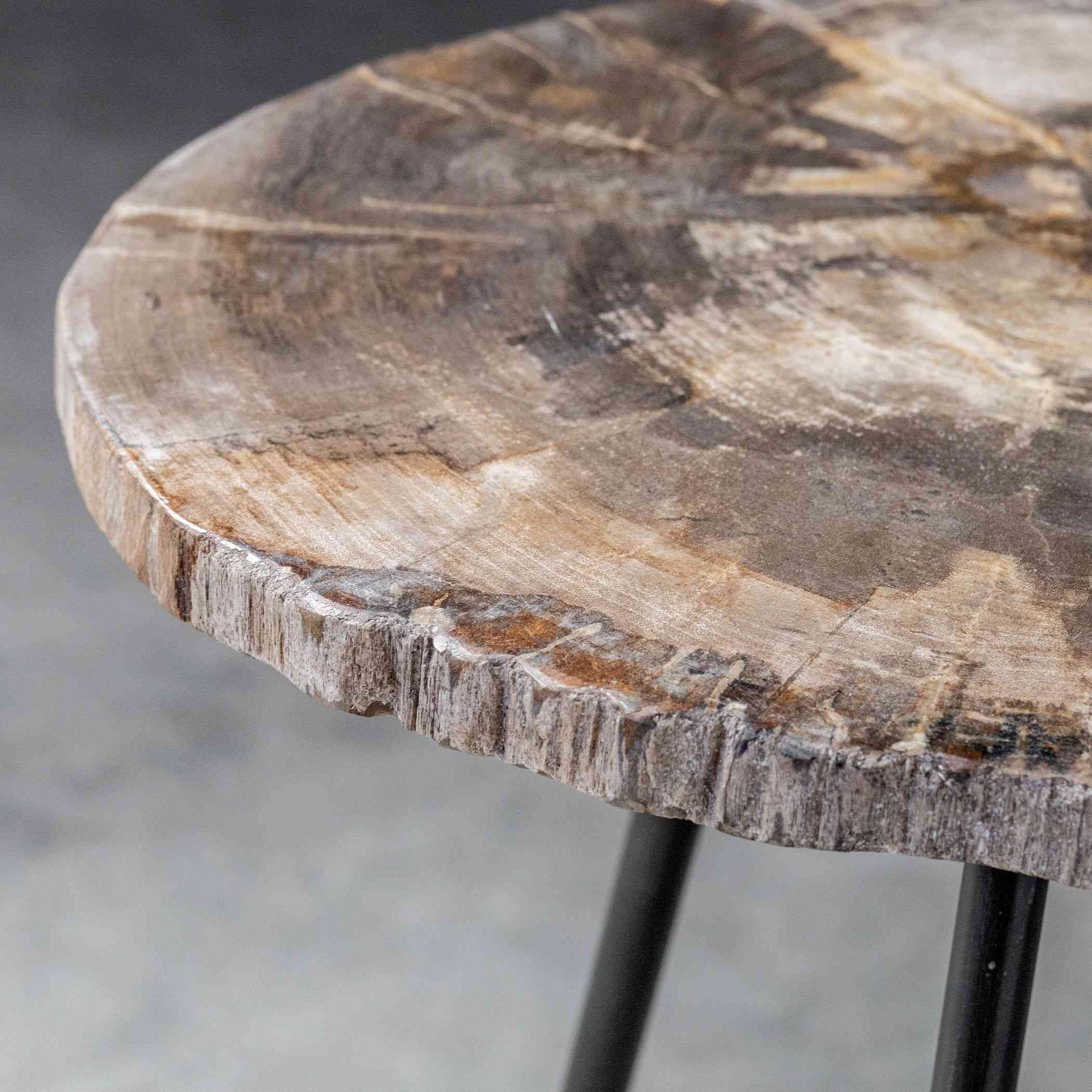 Uttermost Mircea Petrified Wood Accent Table | Accent Tables | Modishstore - 3