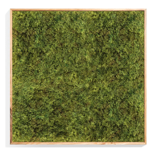 Green Wall, Textured Moss By Gold Leaf Design Group | Green Wall | Modishstore - 2