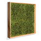 Green Wall, Textured Moss By Gold Leaf Design Group | Green Wall | Modishstore