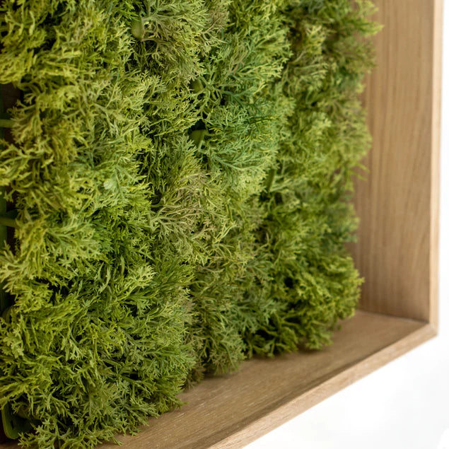 Green Wall, Textured Moss By Gold Leaf Design Group | Green Wall | Modishstore - 3