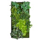 Green Wall, Pothos Mix By Gold Leaf Design Group | Green Wall |  Modishstore