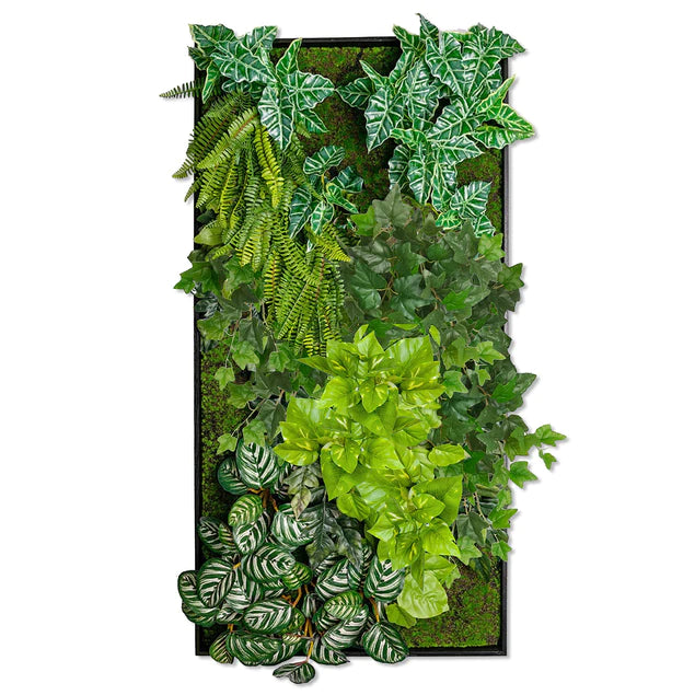 pothos vertical garden Green Wall, Pothos Mix By Gold Leaf Design Group – Modish Store
