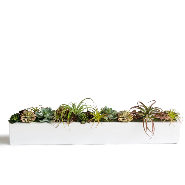 Desert Garden 2 By Gold Leaf Design Group | Planters, Troughs & Cachepots | Modishstore - 6