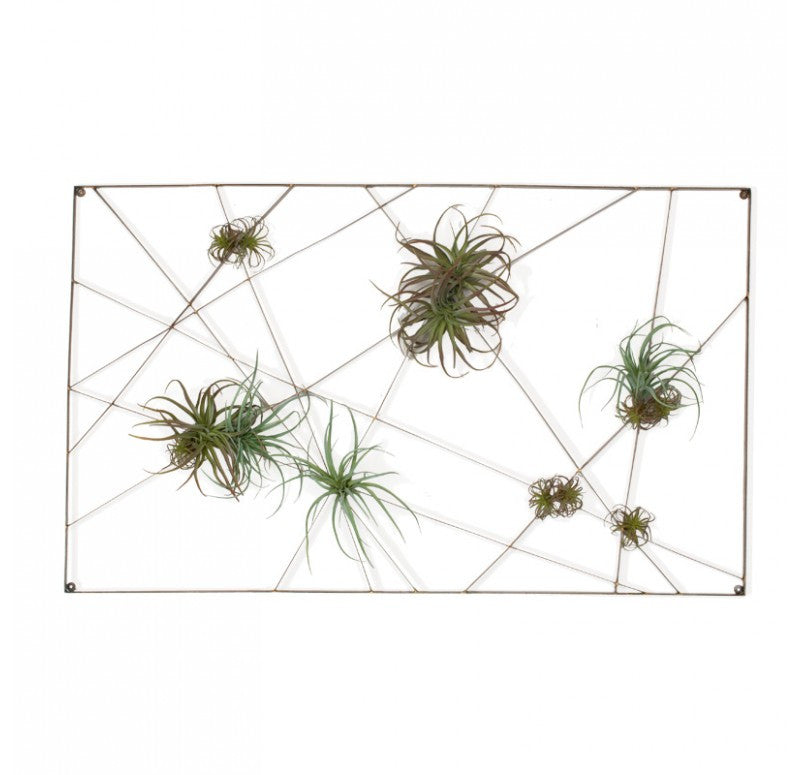 Gold Leaf Design Group Intersect Wall Art With Tillandsia Mix | Wall Decor | Modishstore - 2
