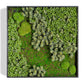 Green Wall, "Essex Mix 1" By Gold Leaf Design Group | Green Wall |  Modishstore - 2