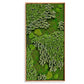 Green Wall, 'Essex Mix 2', Nat By Gold Leaf Design Group | Green Wall |  Modishstore - 3