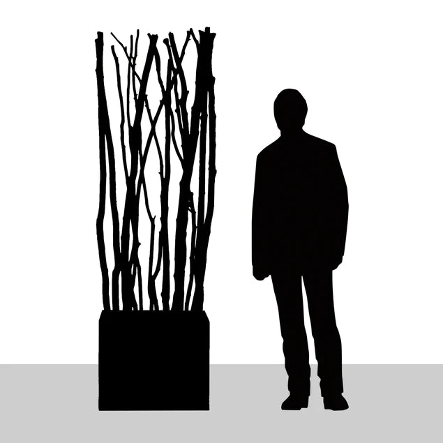 Alder Poles In Urbano Rectangle Planter, Sml By Gold Leaf Design Group | Planters, Troughs & Cachepots | Modishstore - 4