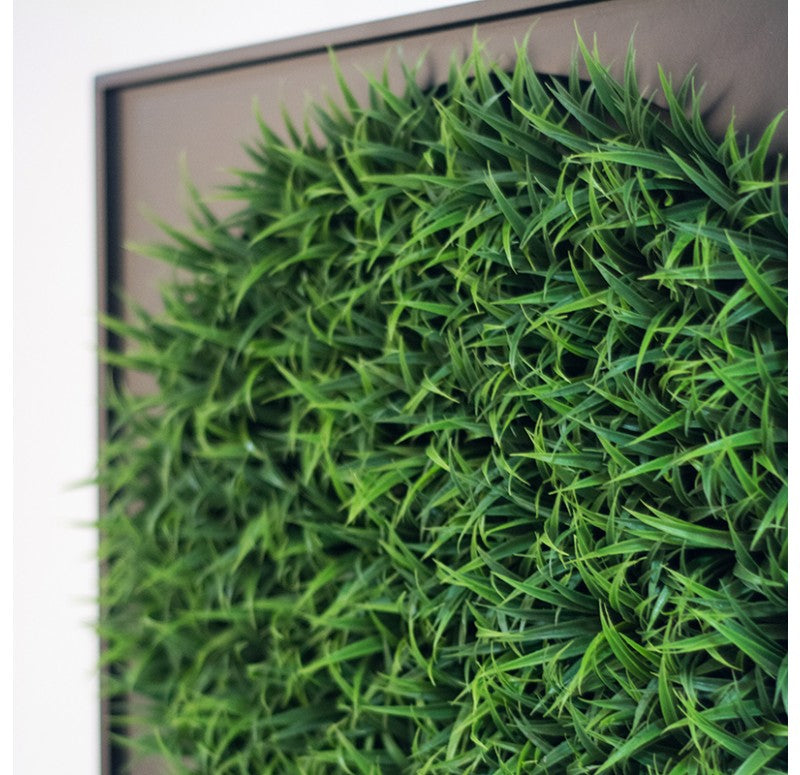 Mini Green Wall, Curly Grass by Gold Leaf Design Group | Green Wall | Modishstore-3