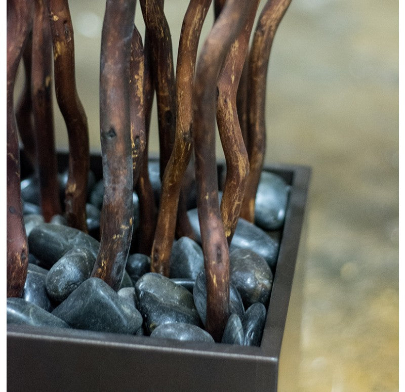 Kuwa in Small Cube Planter by Gold Leaf Design Group | Botanicals | Modishstore - 3