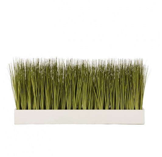 Linear Table Planter with Japanese Grass by Gold Leaf Design Group | Planters, Troughs & Cachepots | Modishstore