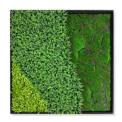 Green Wall, 