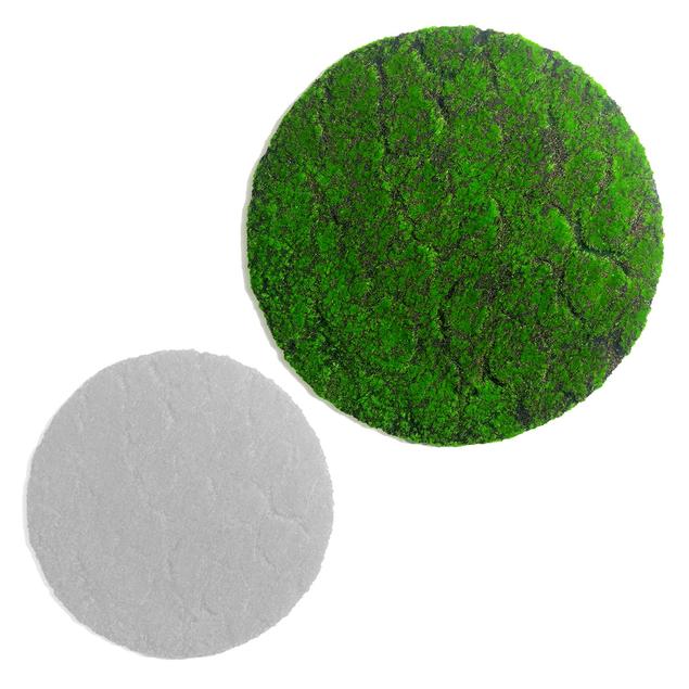 Green Wall, 'New Moss', Disc by Gold Leaf Design Group | Green Wall | Modishstore - 5
