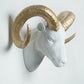 Interior Illusions Plus Goat Head Taxidermy White/Gold - 20" wide | Trophy Head | Modishstore - 2