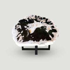 Petrified Wood Slab Use in Coffee Table | End Table PF-1114 by Aire Furniture