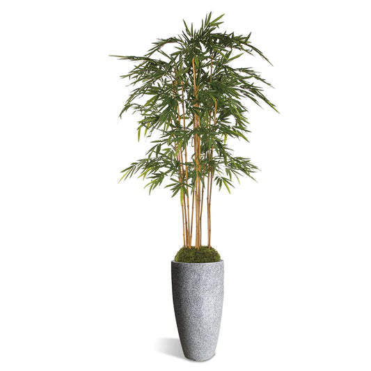Bamboo Tree in Kawa Planter, Granite White By Gold Leaf Design Group | Planters, Troughs & Cachepots |  Modishstore