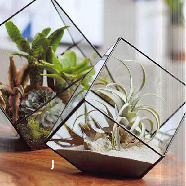 Roost Cubist Terrariums