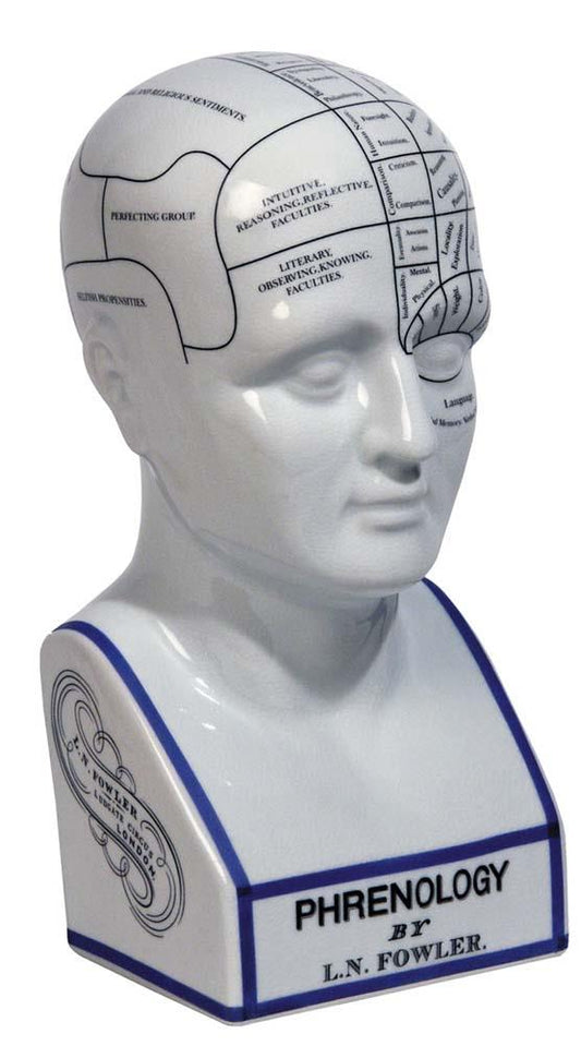 Phrenology Head by Authentic Models | Sculptures | Modishstore