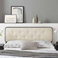 Modway Collins Tufted Twin Fabric and Wood Headboard | Headboards | Modishstore