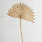 Large Natural Sun Palm Spear By Kalalou | Botanicals | Modishstore