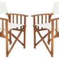 Safavieh Laguna Director Chair | Outdoor Chairs |  Modishstore  - 2