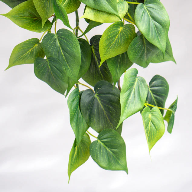Philodendron Green in Nama Planter Large By Gold Leaf Design Group | Planters, Troughs & Cachepots | Modishstore - 4