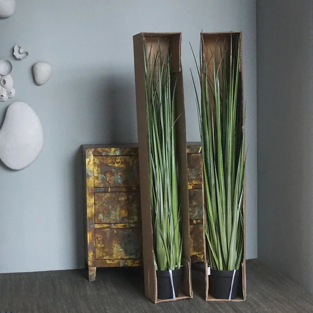 LC Cane 65"H Grass Potted By Gold Leaf Design Group | Planters, Troughs & Cachepots |  Modishstore - 9