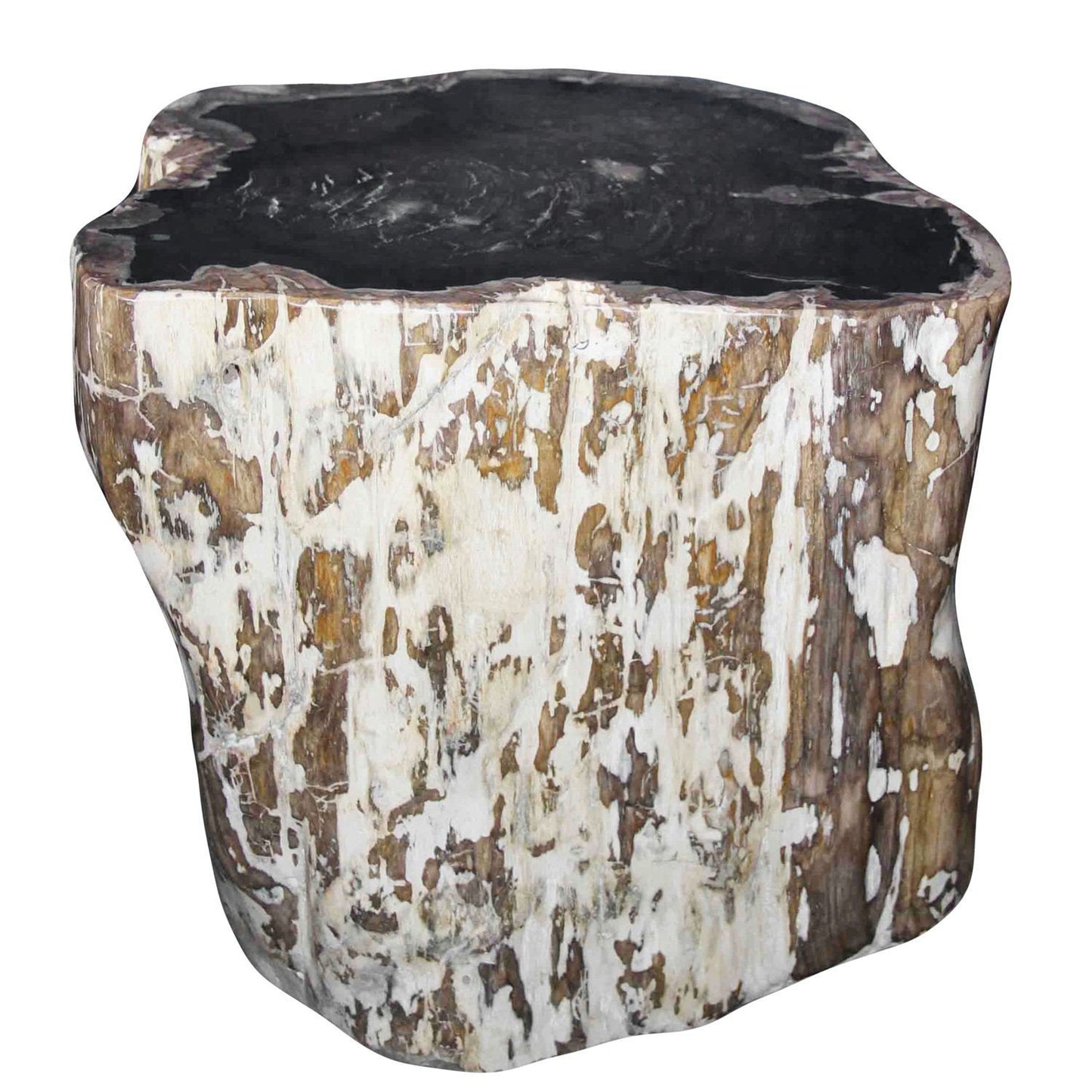 Petrified Wood Log Stool PF-2029 by Aire Furniture | Petrified Wood Stools | Modishstore