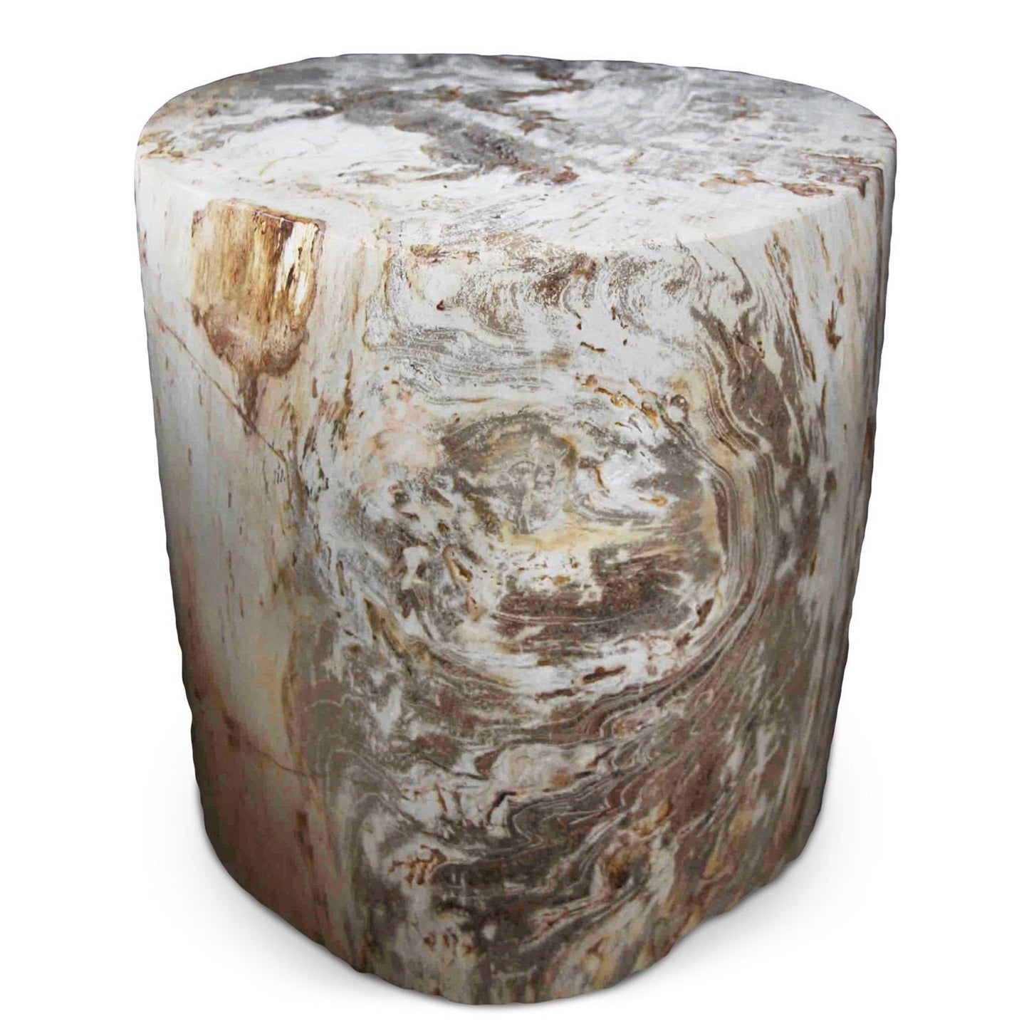 Petrified Wood Log Stool PF-2035 by Aire Furniture | Petrified Wood Stools | Modishstore