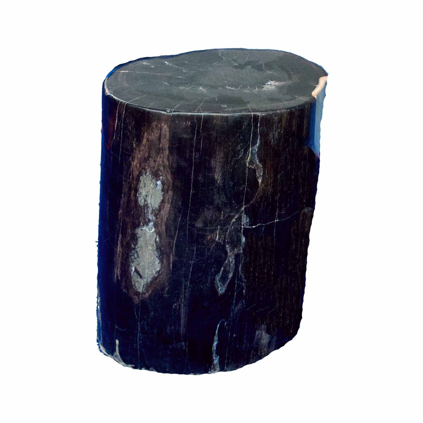 Petrified Wood Accent Stool-Ebony Black/Cream Side Table by Aire Furniture | Petrified Wood Stools | Modishstore - 3