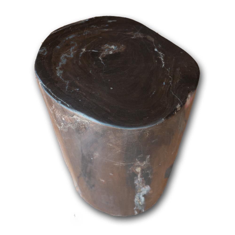 Petrified Wood Log Stool PF-2107 by Aire Furniture | Petrified Wood Stools | Modishstore - 2