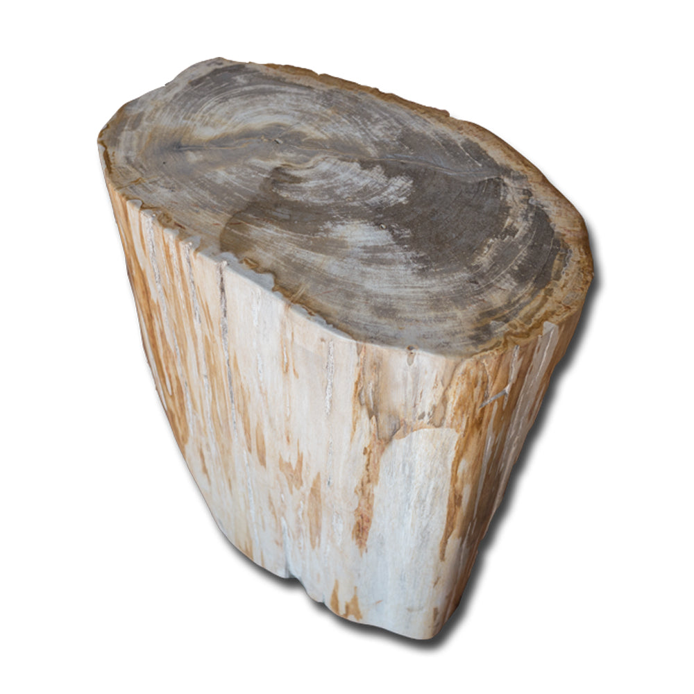 Petrified Wood Stool PF-2139 by Aire Furniture | Petrified Wood Stools | Modishstore - 3