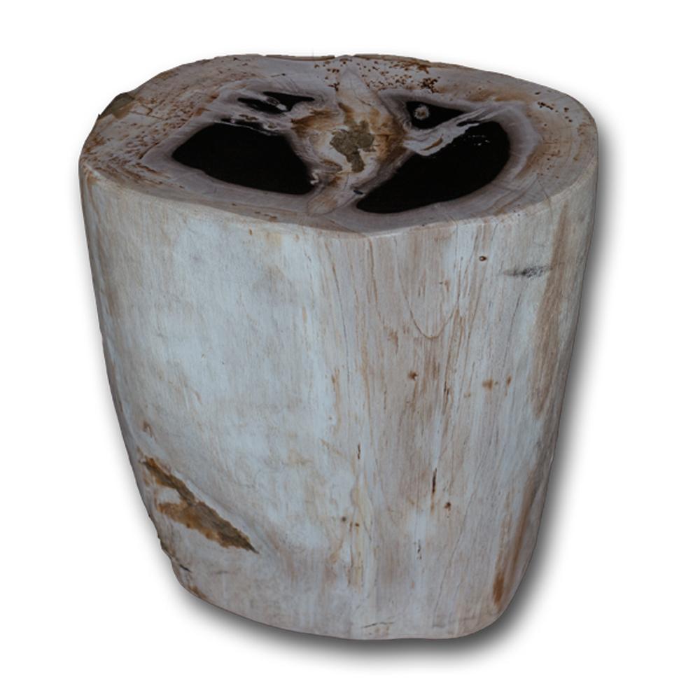 Petrified Wood Stool PF-2150 by Aire Furniture | Petrified Wood Stools | Modishstore - 2