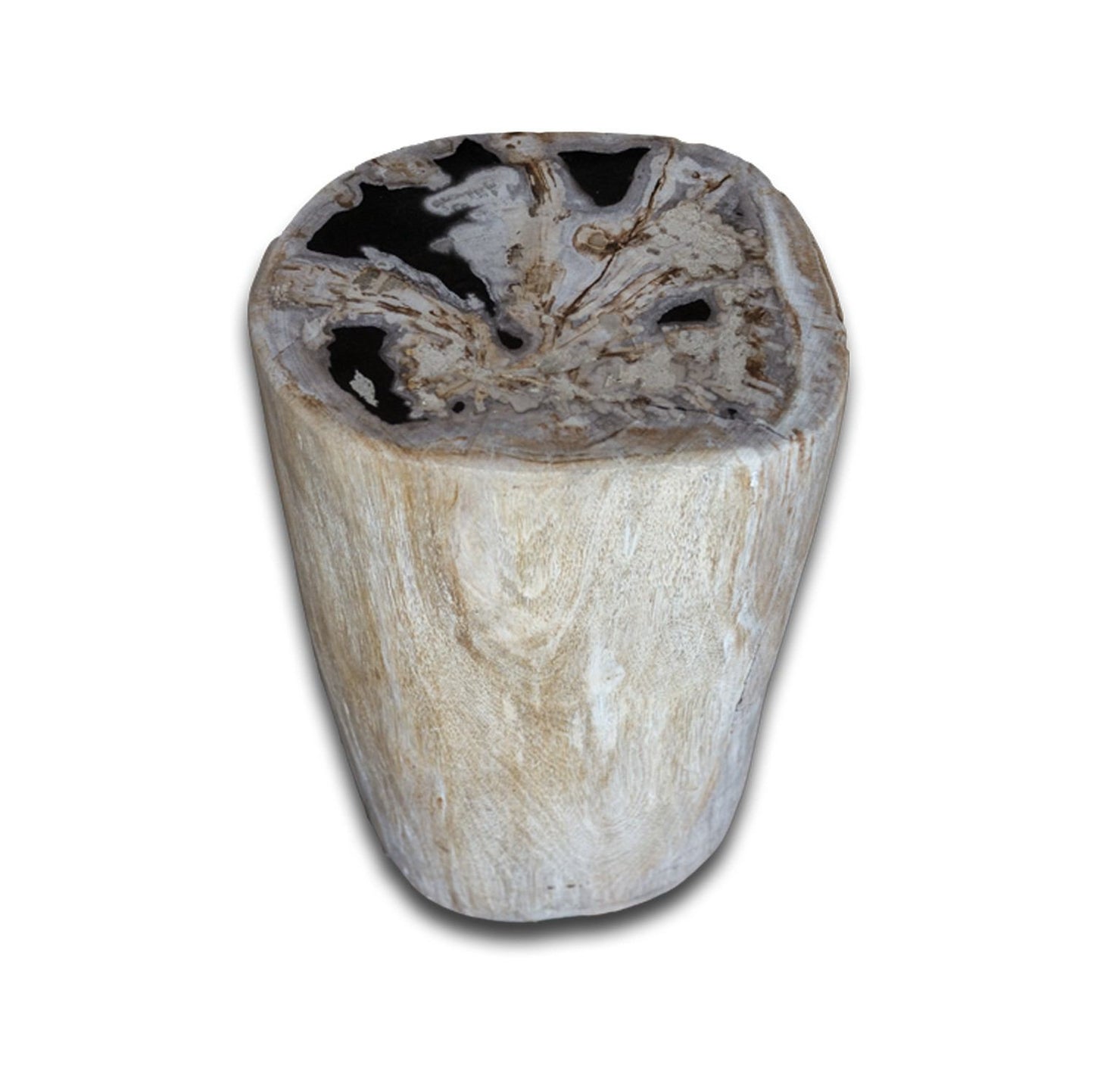 Petrified Wood Stool PF-2158 by Aire Furniture | Petrified Wood Stools | Modishstore