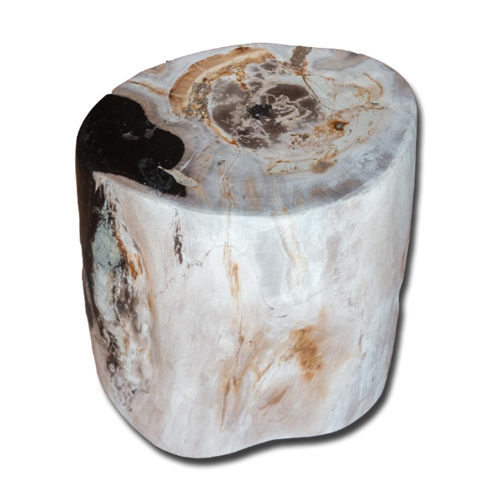 Petrified Wood Stool PF-2164 by Aire Furniture | Petrified Wood Stools | Modishstore - 2