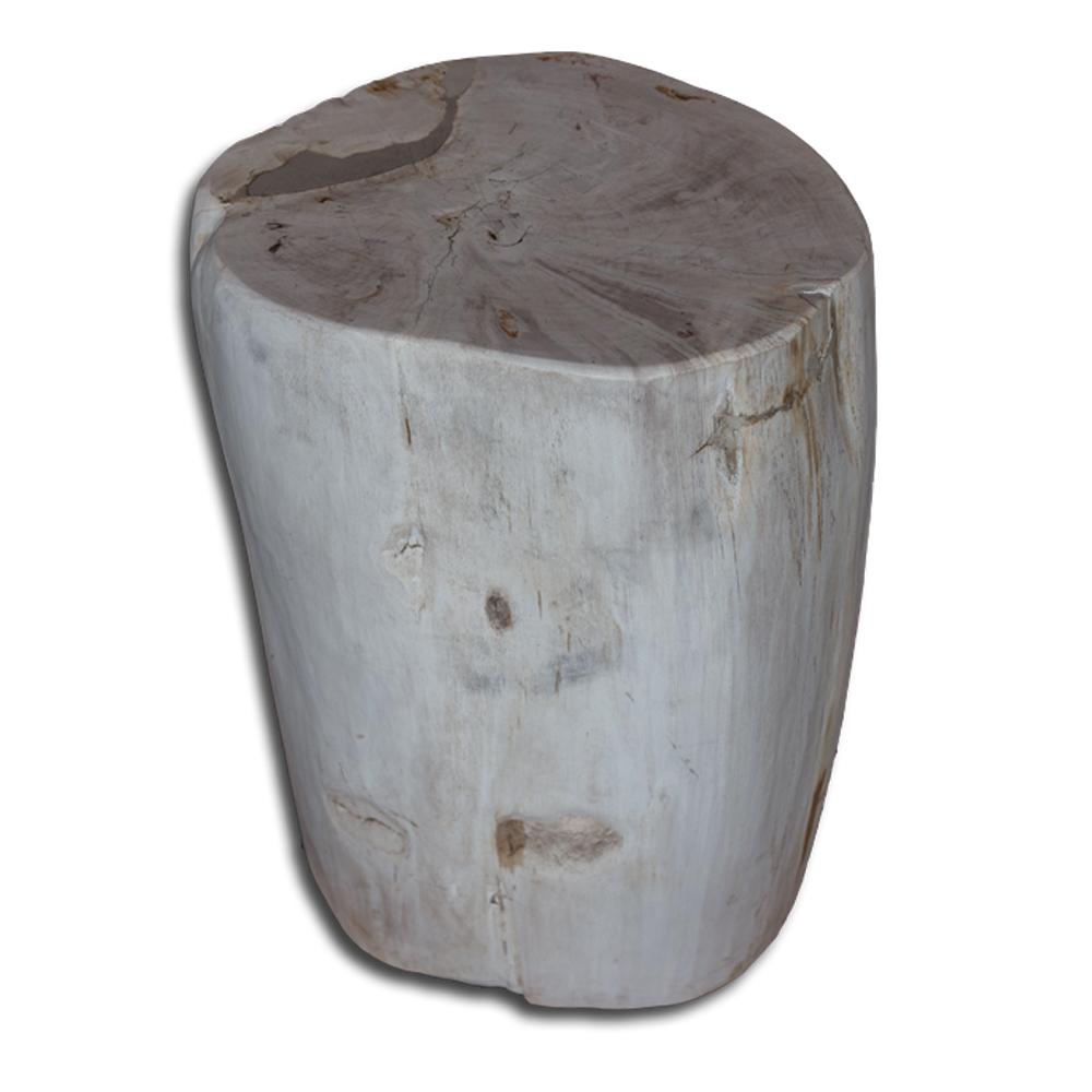 Petrified Wood Stool PF-2166 by Aire Furniture | Petrified Wood Stools | Modishstore - 2
