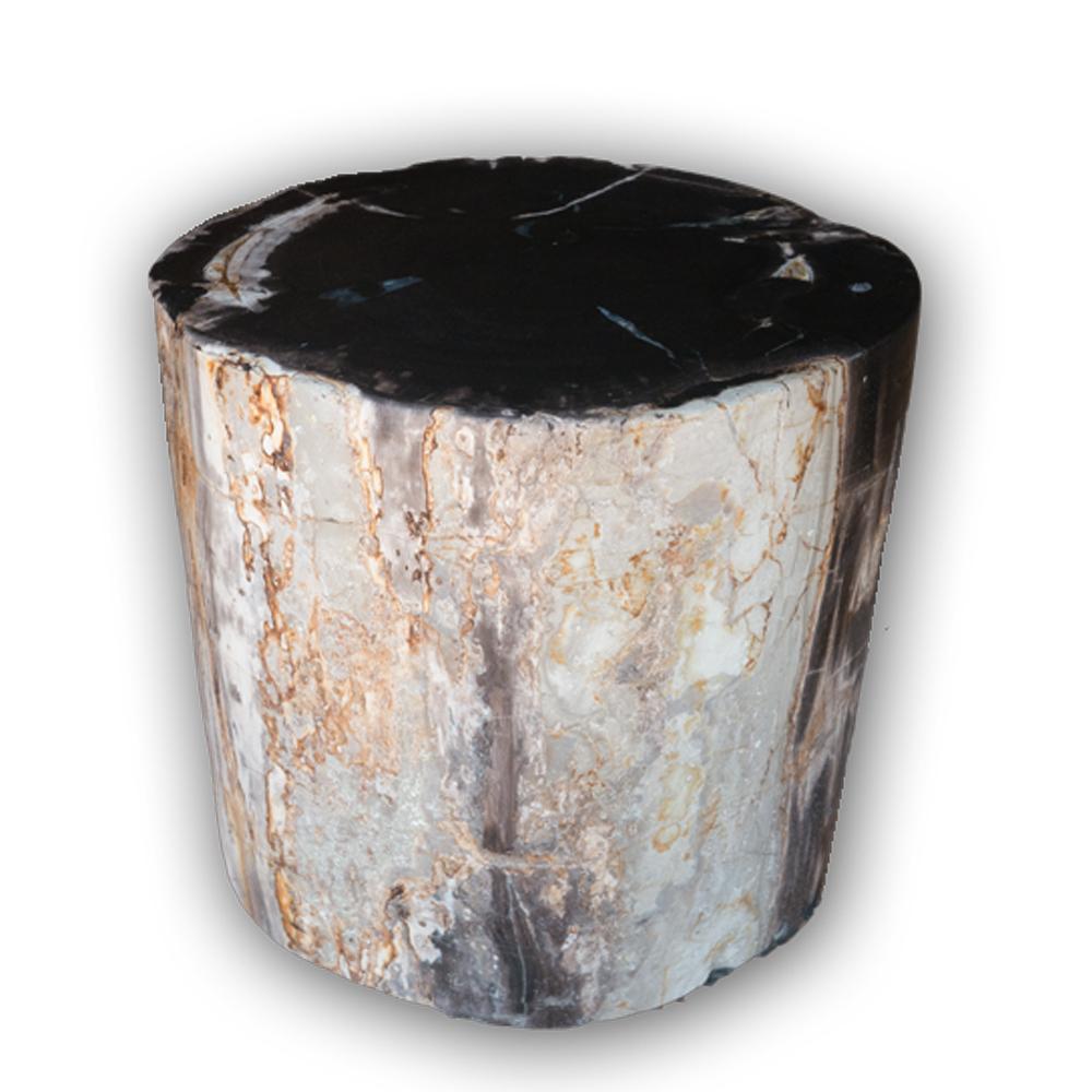 Petrified Wood Log Stool PF-2116 by Aire Furniture | Petrified Wood Stools | Modishstore - 3