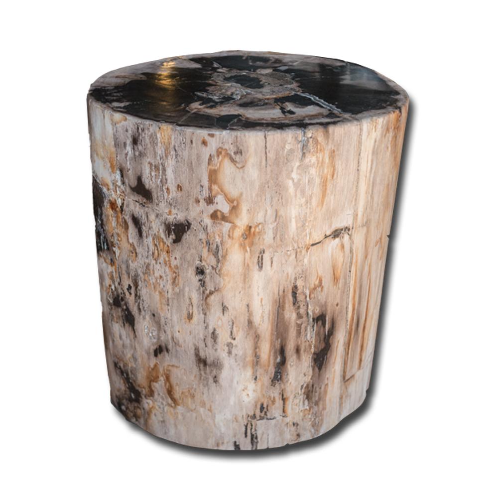 Petrified Wood Stool PF-2153 by Aire Furniture | Petrified Wood Stools | Modishstore - 2