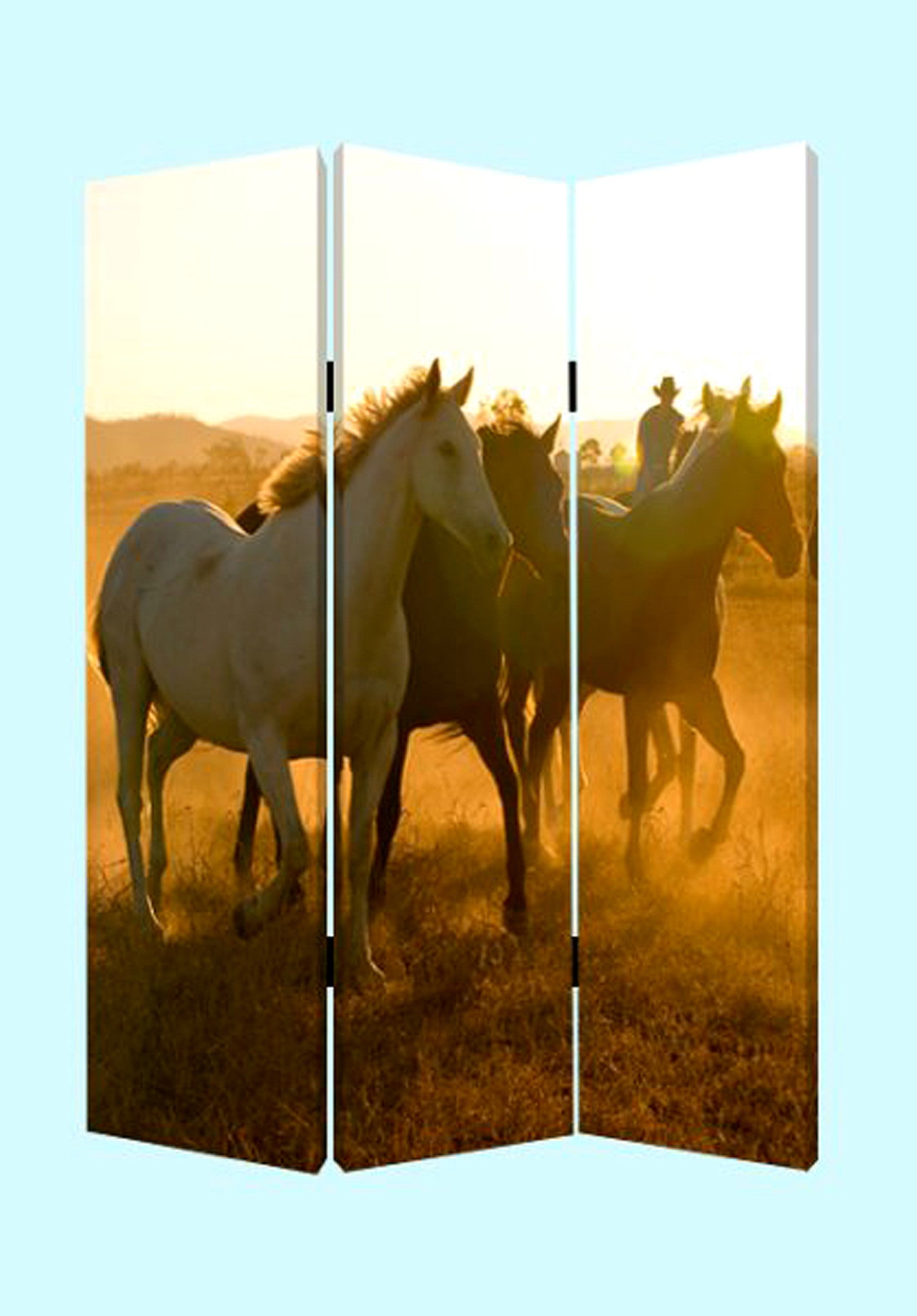 Screen Gems Round Up Screen - SG-111 | Room Divider | Modishstore-2