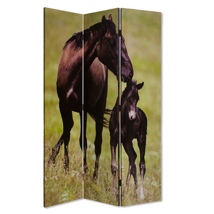 Screen Gems Thouroghbred Screen - SG-21K | Room Divider | Modishstore-2