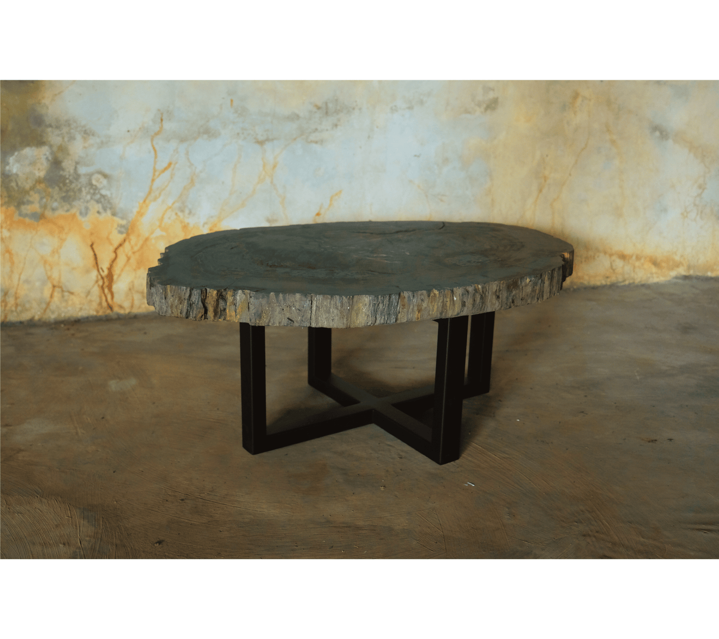 Petrified Wood Jumbo Slab Coffee Table with metal legs- 39.5in x 30.5in | Petrified Wood Slabs | Modishstore-3