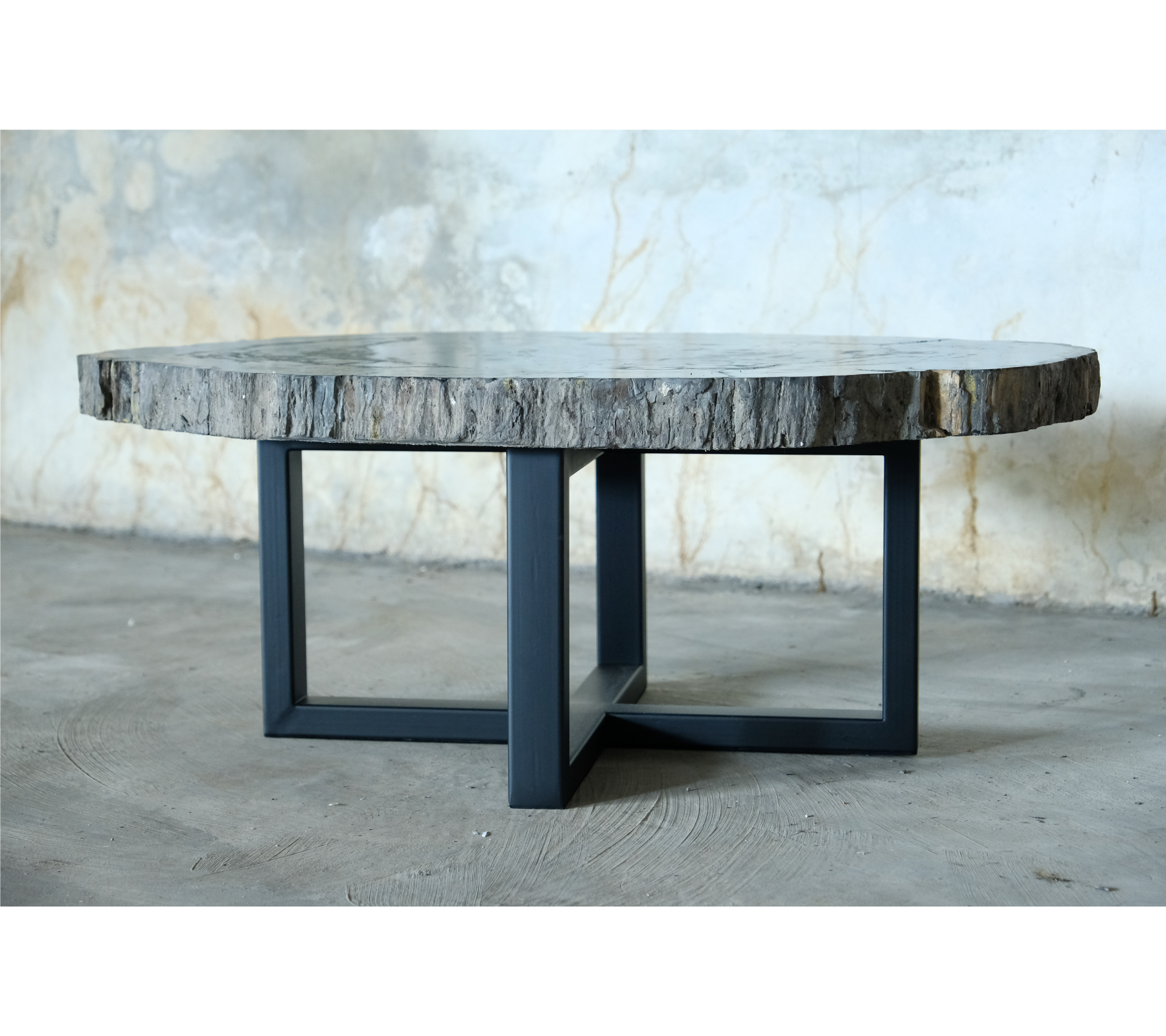 Petrified Wood Jumbo Slab Coffee Table with metal legs- 39.5in x 30.5in | Petrified Wood Slabs | Modishstore-2