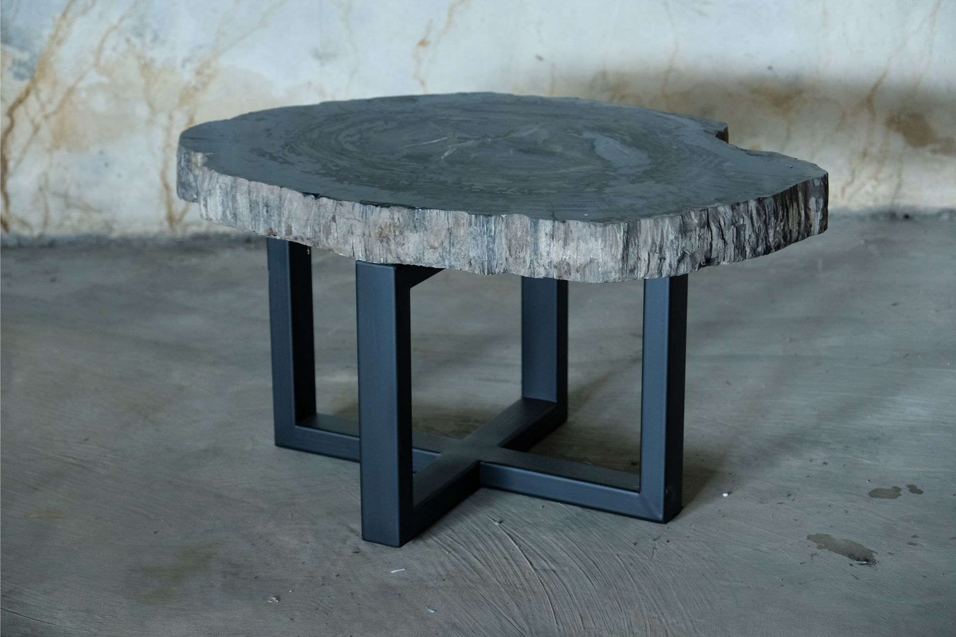 Petrified Wood Jumbo Slab Coffee Table with metal legs- 34.5in x 25in | Petrified Wood Slabs | Modishstore-2
